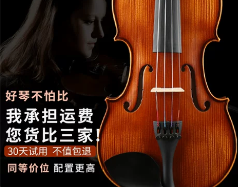 【狂欢价】梵阿玲专业级小提琴初学者成人儿童...