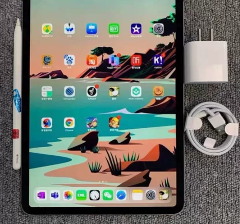 【个人闲置】舍友的iPad mini2银白...