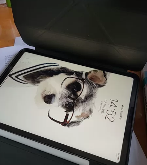Apple/苹果 iPad Pro 11英...