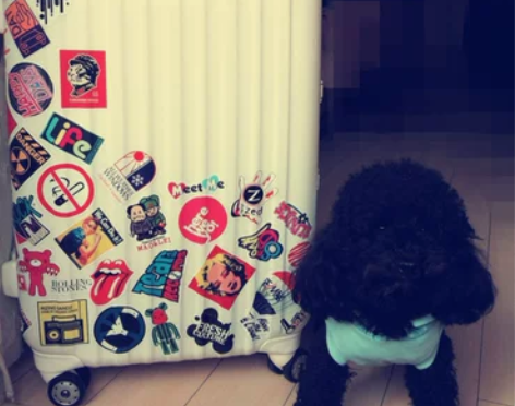 包邮日本正品 いとうito铝框飞机轮旅行箱...