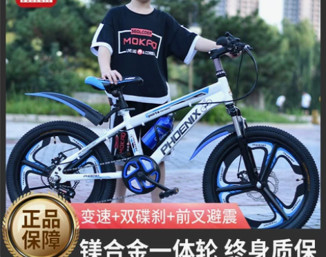 凤凰自行车 儿童山地男孩8-10-12岁中...