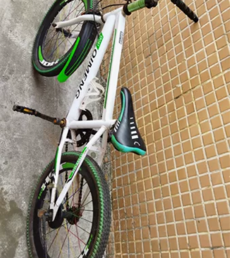 16寸启萌儿童山地车，大岭山图书馆自提 感...