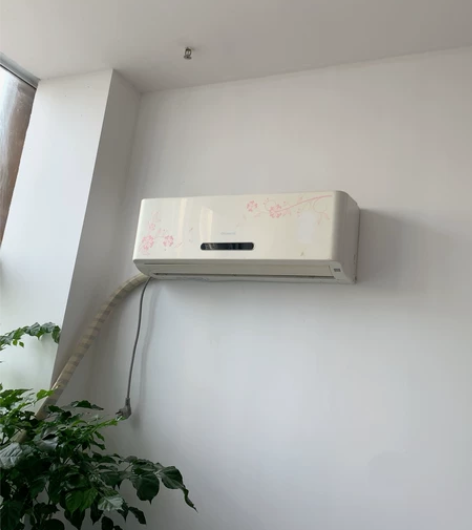 阆中本地自提，自己撤  感兴趣的话点“我想...