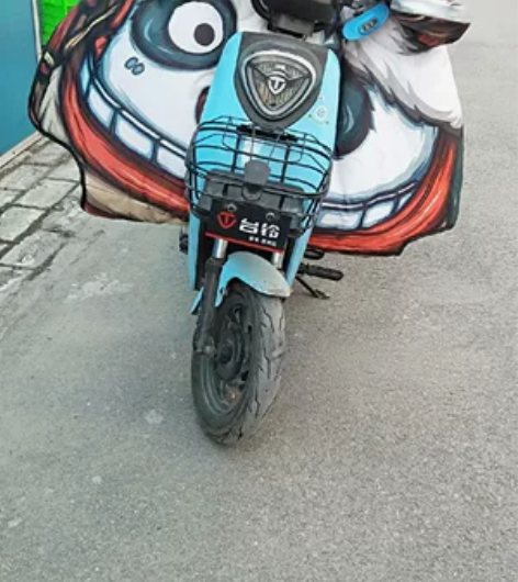 九成新台铃电动车 每天10公里往返送娃专用...