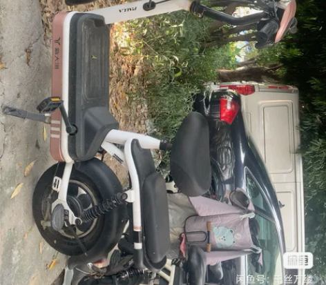 自用新国标电动车了新大洲PALLA电动车 ...