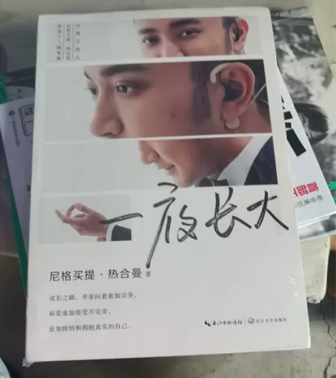 一夜长大-尼格买提个人随笔  全新 便宜地...