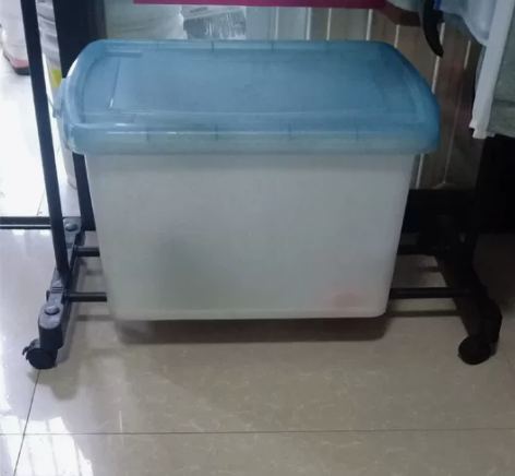 茶花牌的整理箱，自提！长55厘米，宽40厘...