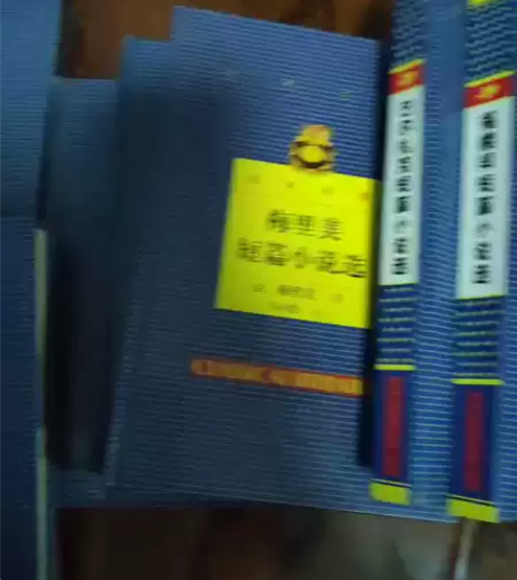 全套十本包邮,莫泊桑果戈里,巴尔扎克,欧亨...