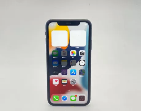 Apple/苹果 苹果 iPhone 11...