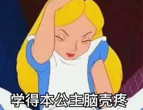 英文计算机辅导R语言 Java C语言 C...