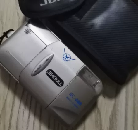 海鸥相机，型号SC888，外观自己定，实物...