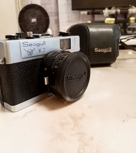 转让稀有品种，海鸥带鸟标kj照相机。功能全...