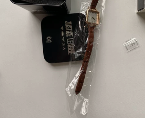 全新正港ZGOx神奇女侠联名手表女小众轻奢...