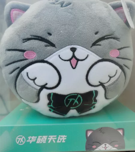 华硕天选猫老师颈枕  全新 感兴趣的话点“...