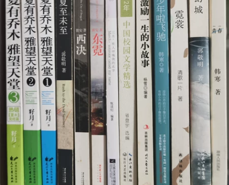 出 青春文学读物 夏至未至西决东霓幻城像少...