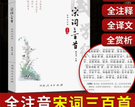 宋词三百首 书籍宋词三百首全注音版 原文注...