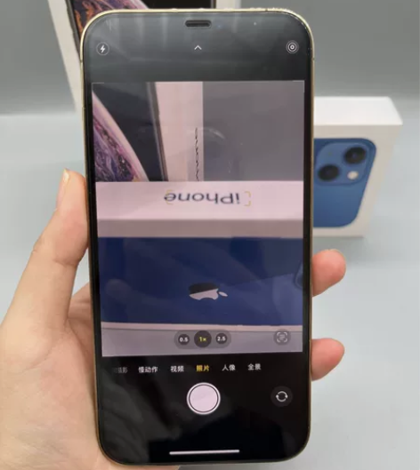 Apple/苹果iPhone12ProMa...