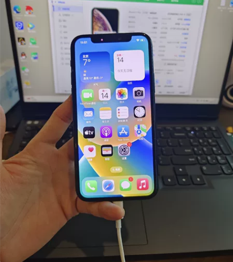 iPhone 11 Pro 512GB 美...