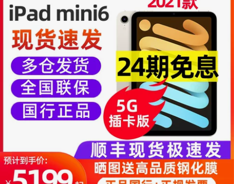 Apple/苹果 iPadmini (第六...