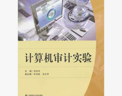 正版二手 计算机审计实验 梁素萍 上海财经...