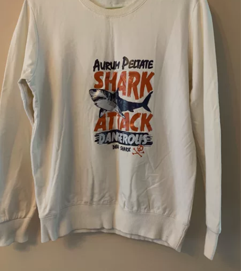 白色男士卫衣，纯棉，170/96A  L码...