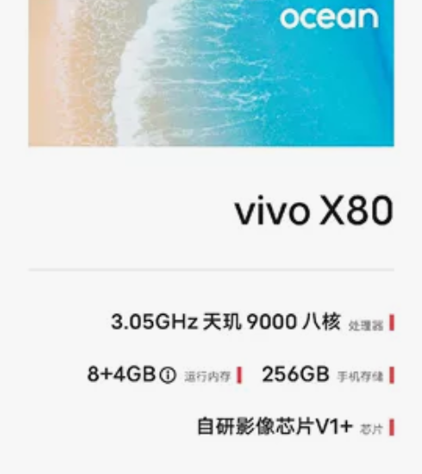 vivox80，8+256，jd购买仅激活...