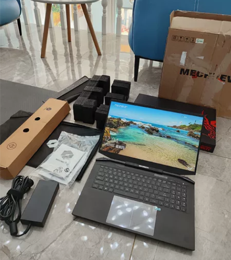 机械革命（MECHREVO）蛟龙7 AMD...