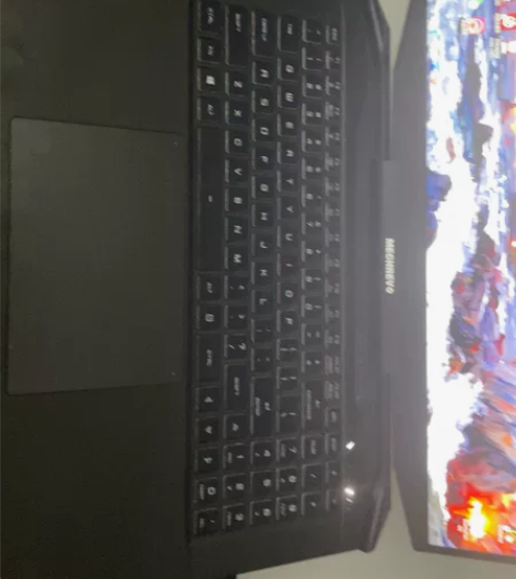 机械革命泰坦钛钽Plus 11代i7  3...