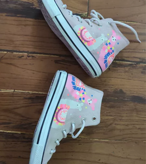 Converse匡威 CTAS Llama...