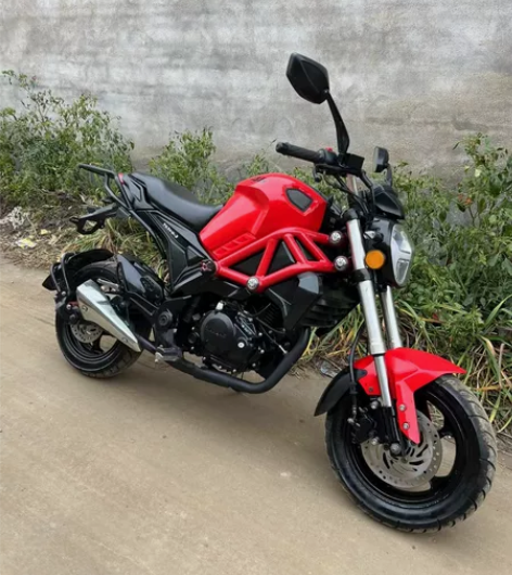 正品银钢小怪兽200cc 国四电喷F1 液...