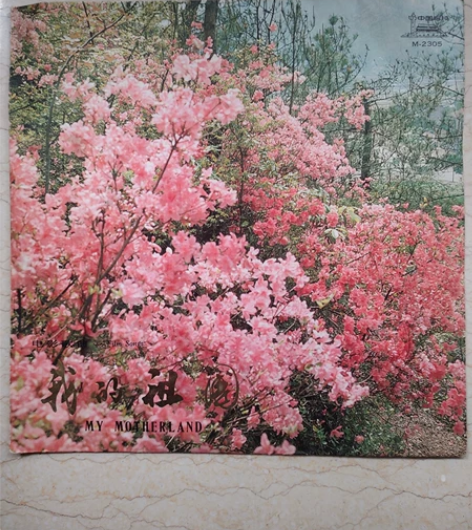中国唱片 我的祖国(电影歌曲) 33转 品...
