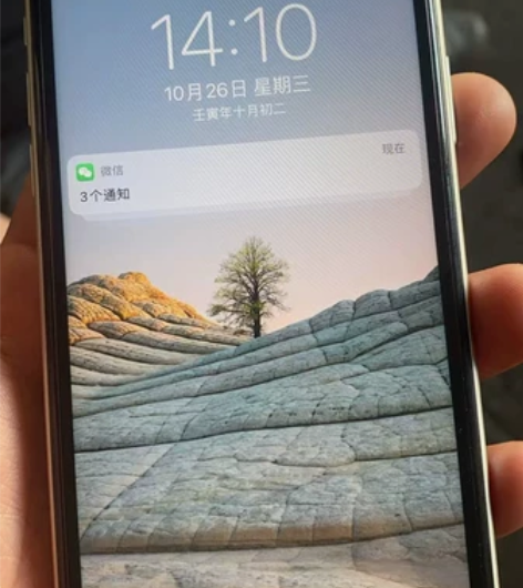 苹11，自用机白色，内存64，国行，全网通...