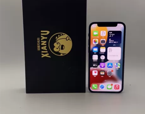 95新Apple/苹果 iPhone 12...