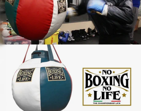 NoBoxingNoLife阿瓦雷兹沙袋进...