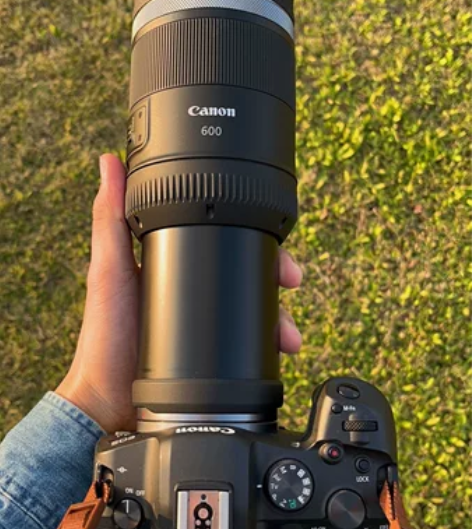 出佳能RF600mm f11超长焦镜头(有...