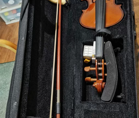 小提琴，4/4实体店买的有消费记录，琴包 ...