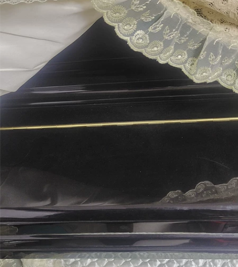 搬家闲置钢琴一架带琴凳琴套,一直闲置,保护...