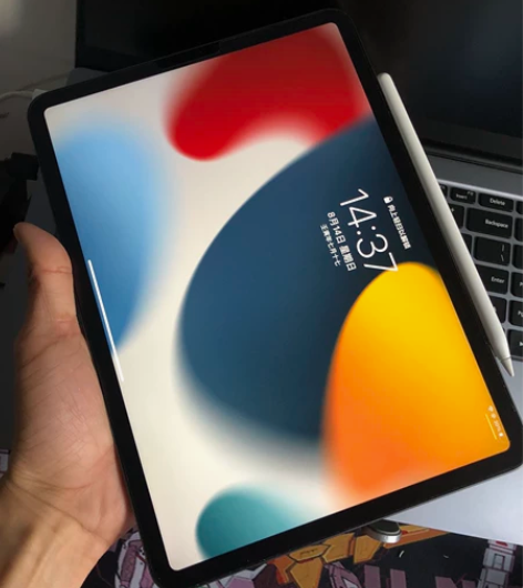 自用iPad Pro 2021 国行11英...