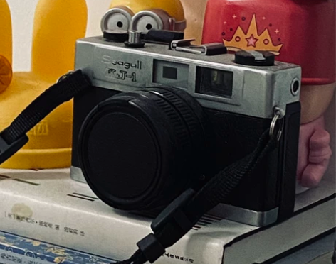 海鸥  胶片机 感兴趣的话点“我想要”和我...