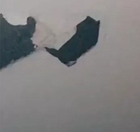 挂光遇账号，网易官服，咸鱼出问题了没办法读...