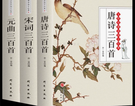 唐诗三百首宋词元曲三百首全集注释 初高中学...