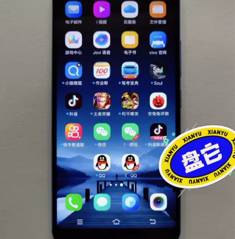 vivox20几乎全新全网通指纹解锁二手机...