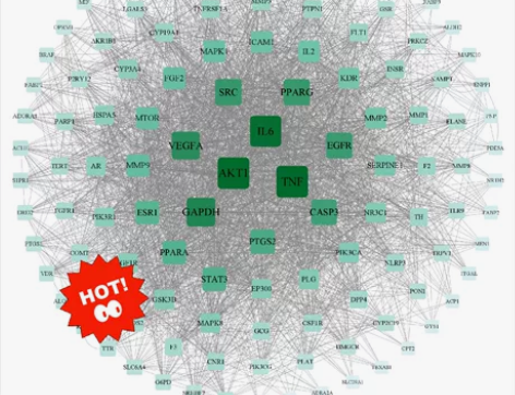 网络药理学##amp；amp；分子对接专业...