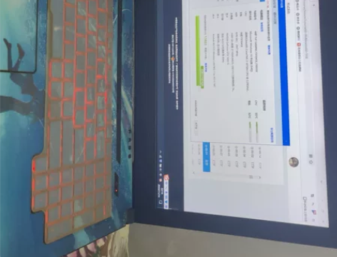 Asus/华硕 飞行堡垒5代  游戏本 C...