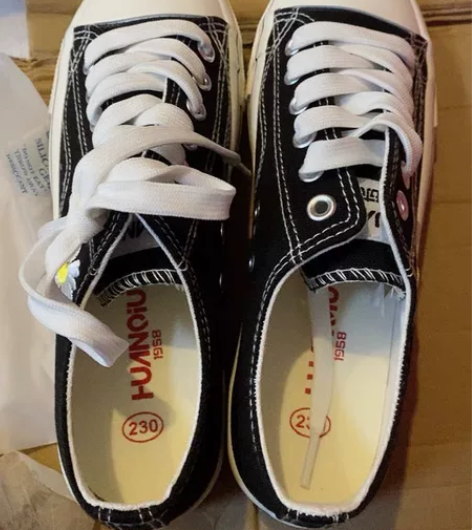 环球帆布鞋,全新正品,包邮。37码 不退...