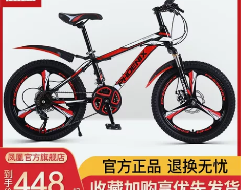【38活动价】凤凰自行车20/22/24寸...