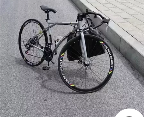 特价清仓:公路赛车变速自行车实心胎活飞单车...