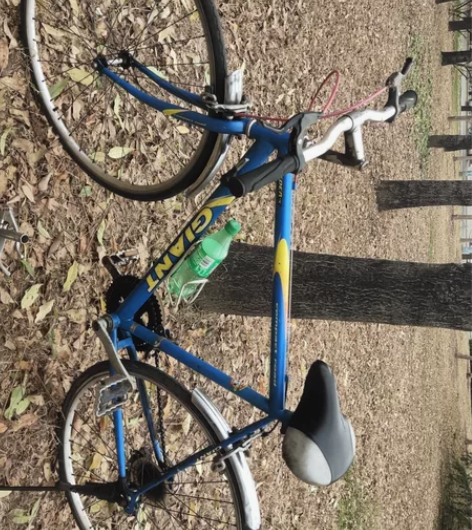 二手捷安特公路自行车，稍后改回弯把 感兴趣...