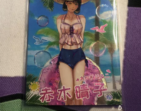 灌篮高手 泳装赤木晴子35/49 新拆 可...
