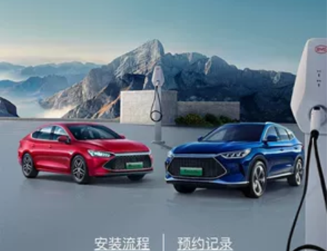 比亚迪BYD/比亚迪比亚迪原厂充电桩，本人...